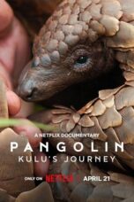 Nonton Movie Pangolin: Kulu’s Journey (2025) Subtitle Indonesia