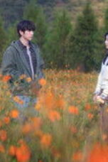 Nonton Movie Still Shining Season 1 Episode 8 Subtitle Indonesia